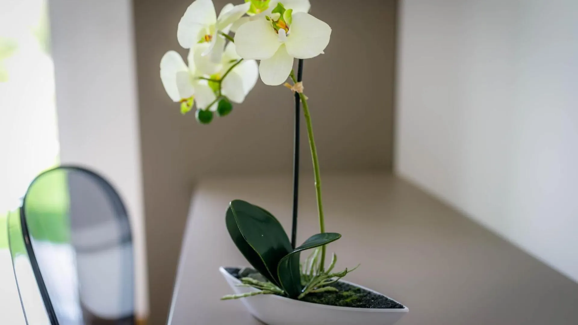 Deluxe Villa With Swimming Pool, Whirlpool On The Roof Terrace With A Beautiful Sea View - By Traveler Tourist Agency Krk Id 2125 I Sveti Vid-Miholjice